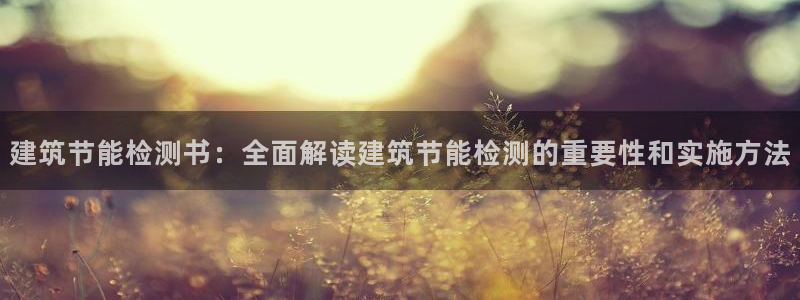 e尊国际客户端：建筑节能检测书：全面解读建筑节能检测的重要性和实施方法