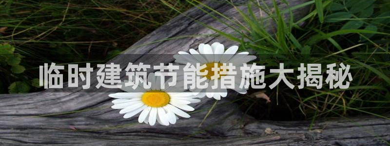 e尊国际app：临时建筑节能措施大揭秘