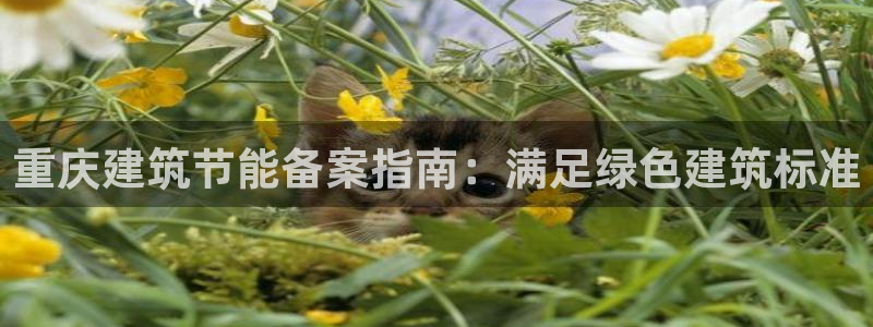 e尊国际官网app：重庆建筑节能备案指南：满足绿色建筑标准