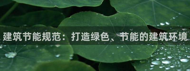 e尊国际app：建筑节能规范：打造绿色、节能的建筑环境