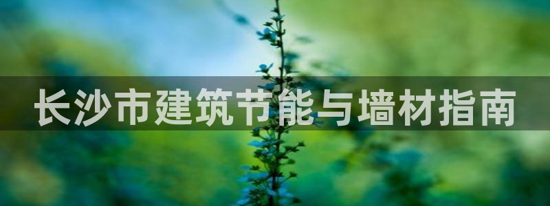 e尊国际娱乐官网下载：长沙市建筑节能与墙材指南