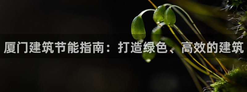 e尊电竞：厦门建筑节能指南：打造绿色、高效的建筑