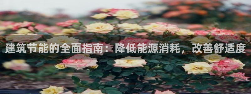 e尊国际7779：建筑节能的全面指南：降低能源消耗，改善舒适度