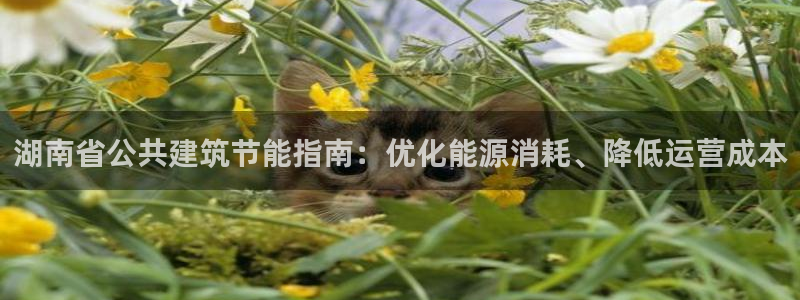 e尊国际客户端下载：湖南省公共建筑节能指南：优化能源消耗、降低运营成本