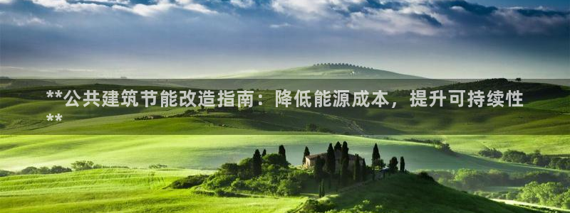 e尊国际网址：**公共建筑节能改造指南：降低能源成本，提升可持续性
**