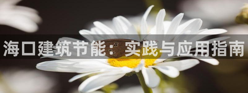 e尊体育：海口建筑节能：实践与应用指南