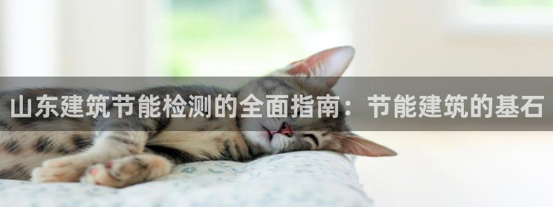 e尊国际-e尊国际官网：山东建筑节能检测的全面指南：节能建筑的基石