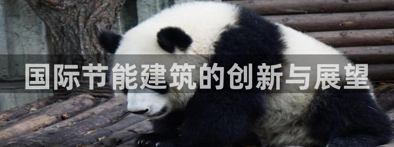e尊国际娱乐官网下载：国际节能建筑的创新与展望