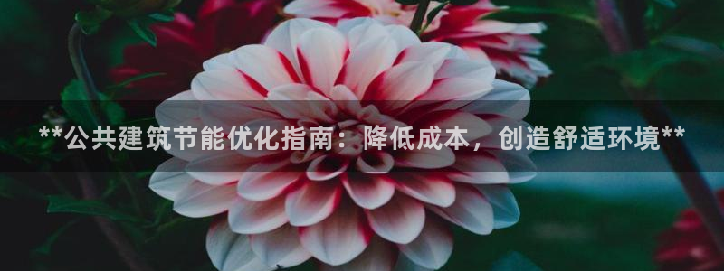 e尊电竞：**公共建筑节能优化指南：降低成本，创造舒适环境**