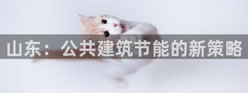 e尊国际是干什么的：山东：公共建筑节能的新策略