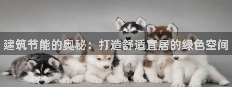 e尊国际网址：建筑节能的奥秘：打造舒适宜居的绿色空间