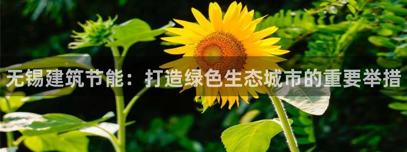 e尊国际官网app：无锡建筑节能：打造绿色生态城市的重要举措