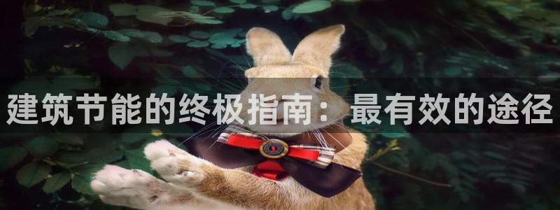 e尊国际是干什么的：建筑节能的终极指南：最有效的途径