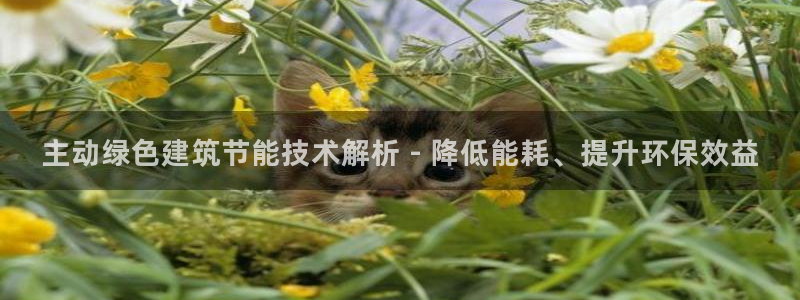e尊国际官方网站：主动绿色建筑节能技术解析 - 降低能耗、提升环保效益