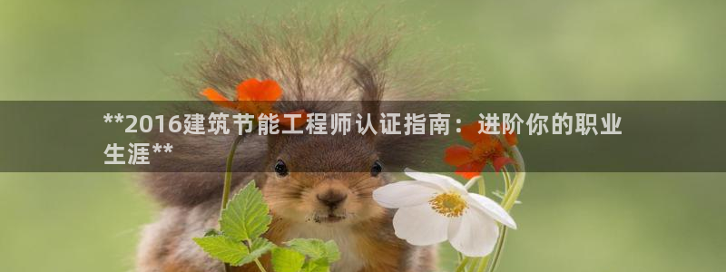 e尊国际平台：**2016建筑节能工程师认证指南：进阶你的职业
生涯**