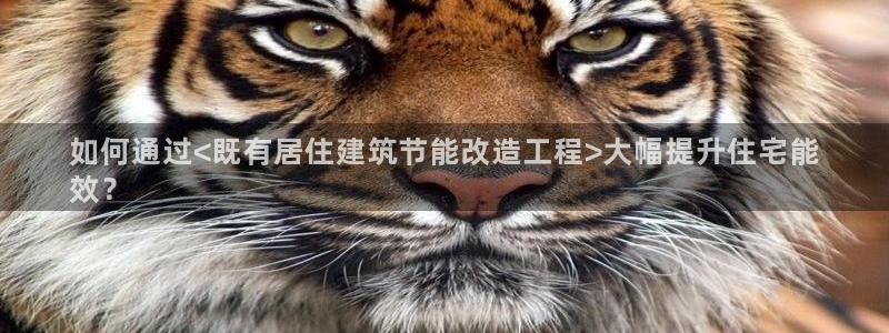 e尊国际娱乐官网地址：如何通过<既有居住建筑节能改造工程>大幅提升住宅能
效？