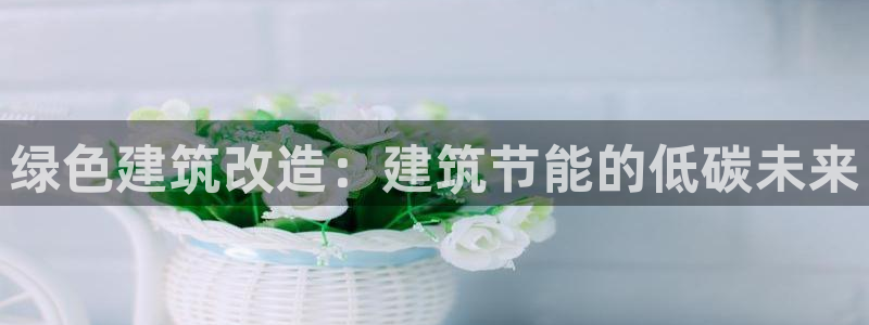 谁知道e尊国际的网址：绿色建筑改造：建筑节能的低碳未来