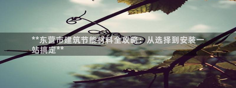 e尊电竞：**东营市建筑节能材料全攻略：从选择到安装一
站搞定**