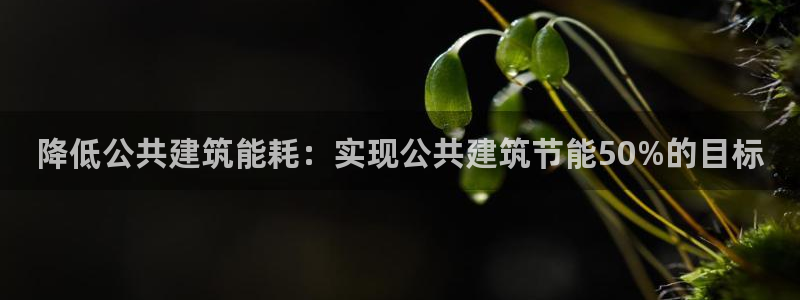 E尊国际网站