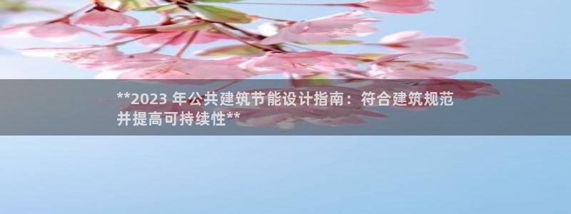 e尊国际客户端下载：**2023 年公共建筑节能设计指南：符合建筑规范
并提高可持续性**
