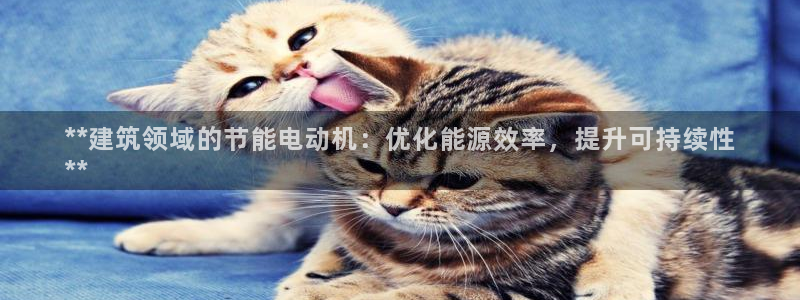 e尊国际客服：**建筑领域的节能电动机：优化能源效率，提升可持续性
**