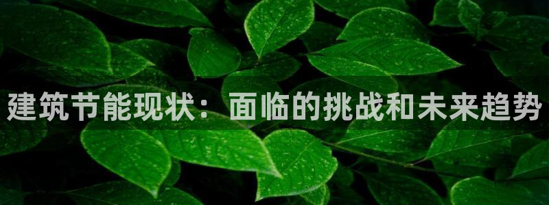 e尊国际娱乐官网下载：建筑节能现状：面临的挑战和未来趋势