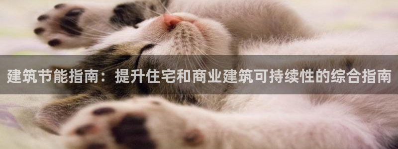 E尊国际：建筑节能指南：提升住宅和商业建筑可持续性的综合指南