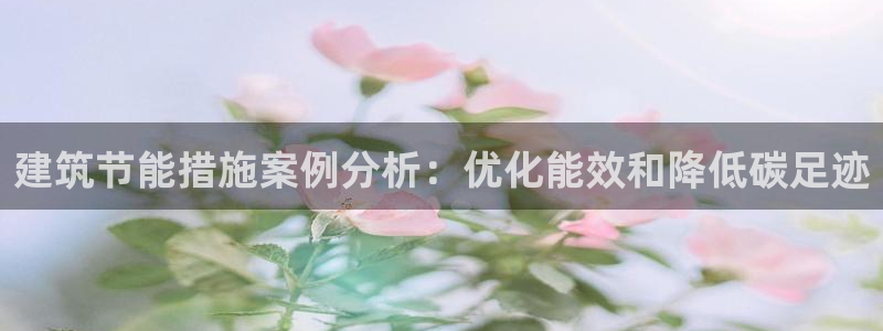 e尊国际-e尊国际官网：建筑节能措施案例分析：优化能效和降低碳足迹