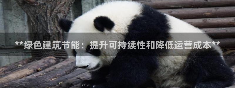 e尊国际平台：**绿色建筑节能：提升可持续性和降低运营成本**