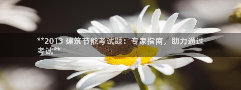 e尊国际7779：**2013 建筑节能考试题：专家指南，助力通过
考试**
