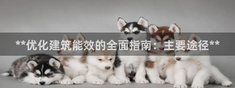 e尊国际app：**优化建筑能效的全面指南：主要途径**