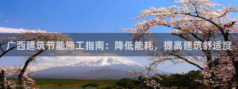 e尊国际app：广西建筑节能施工指南：降低能耗，提高建筑舒适度