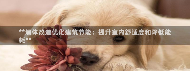 e尊国际客户端：**墙体改造优化建筑节能：提升室内舒适度和降低能
耗**
