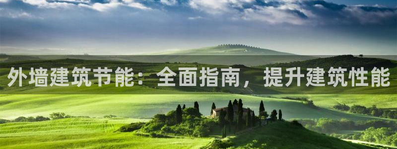 e尊国际平台：外墙建筑节能：全面指南，提升建筑性能