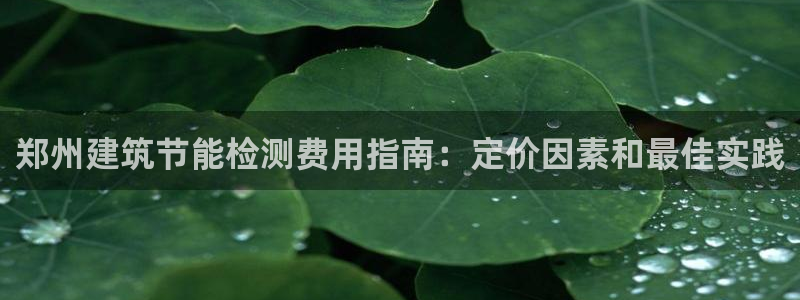 e尊国际网址：郑州建筑节能检测费用指南：定价因素和最佳实践
