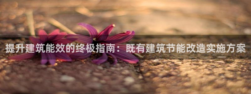 尊亿娱乐国际官网：提升建筑能效的终极指南：既有建筑节能改造实施方案
