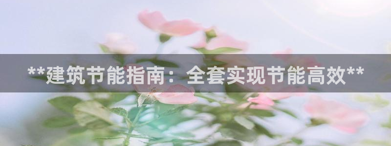 谁知道e尊国际的网址：**建筑节能指南：全套实现节能高效**