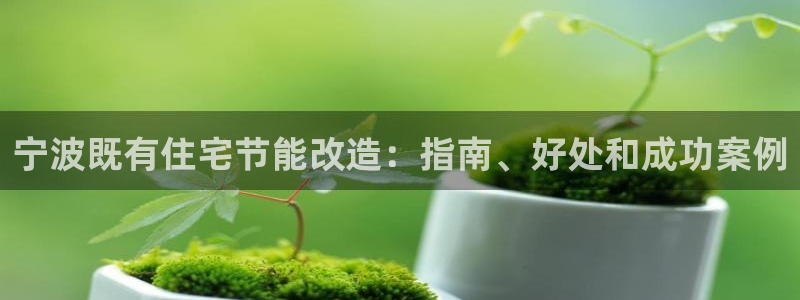 e尊国际官方网站：宁波既有住宅节能改造：指南、好处和成功案例