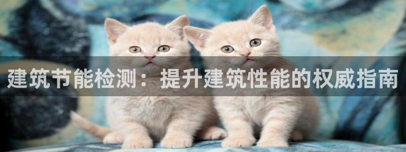 e尊国际的手机登录网站：建筑节能检测：提升建筑性能的权威指南