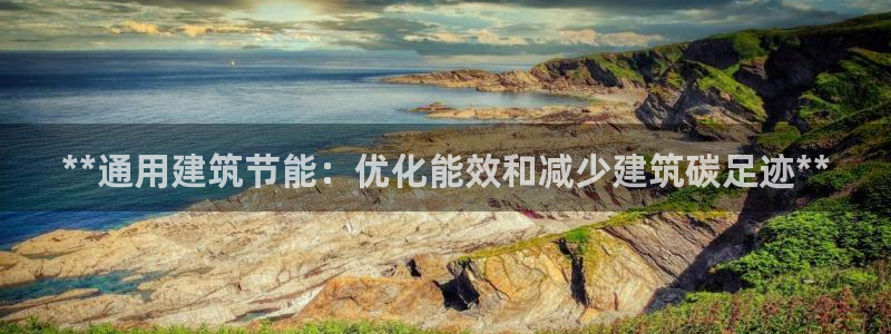 e尊国际-可可计划：**通用建筑节能：优化能效和减少建筑碳足迹**