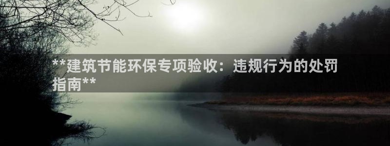 e尊国际平台：**建筑节能环保专项验收：违规行为的处罚
指南**