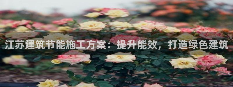 e尊国际娱乐官网下载：江苏建筑节能施工方案：提升能效，打造绿色建筑