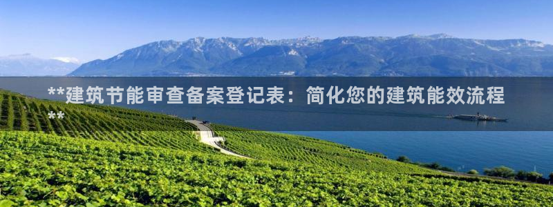 e尊国际官方网站：**建筑节能审查备案登记表：简化您的建筑能效流程
**