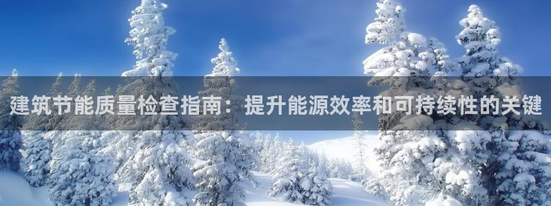谁知道e尊国际的网址：建筑节能质量检查指南：提升能源效率和可持续性的关键