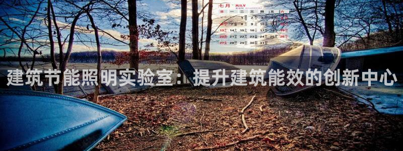 e尊国际app：建筑节能照明实验室：提升建筑能效的创新中心