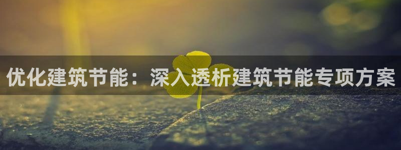 e尊国际-可可计划：优化建筑节能：深入透析建筑节能专项方案