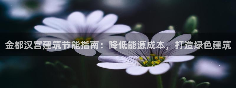 e尊国际客户端：金都汉宫建筑节能指南：降低能源成本，打造绿色建筑