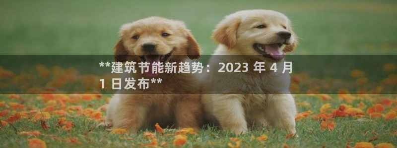 E尊国际：**建筑节能新趋势：2023 年 4 月 
1 日发布**