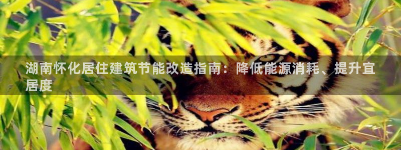 e尊国际娱乐官网地址：湖南怀化居住建筑节能改造指南：降低能源消耗、提升宜
居度
