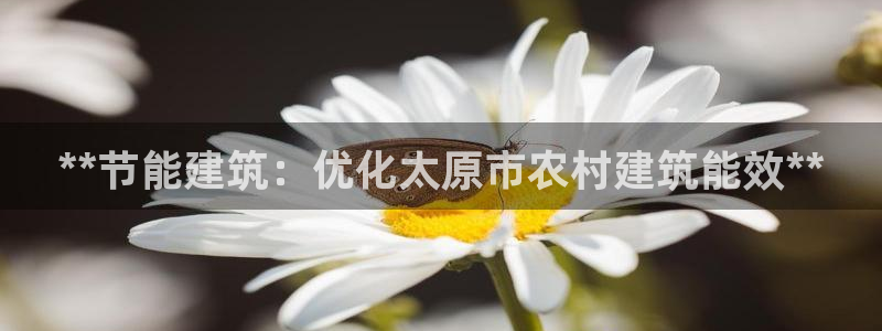 e尊国际地址：**节能建筑：优化太原市农村建筑能效**